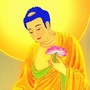 极乐知音ico