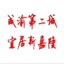 嘉陵播报ico