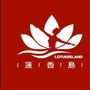 金美华健康公众号ico