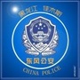 佳木斯市东风公安ico