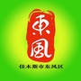 诚信东风ico