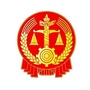 荆门市中级人民法院ico