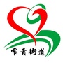 集宁常青街道ico