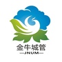 金牛城市管理ico