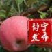 静宁发布ico