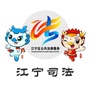 江宁司法ico