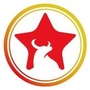 青春金牛ico