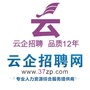 云企招聘网ico