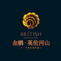 金鹏英伦河山ico