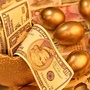 酒泉金融ico