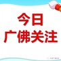 今日广佛关注ico