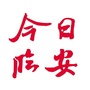 今日临安ico