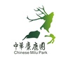 江苏大丰中华麋鹿园ico