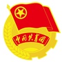 金水共青团ico