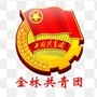 金林共青团ico