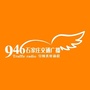 石家庄交通广播ico