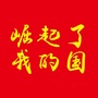 崛起了我的国ico