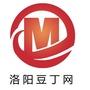 洛阳豆丁网ico