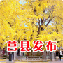莒县发布公众号ico