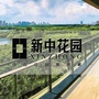 新湖新中花园ico