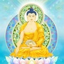 佛说三宝ico