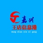 嘉兴王店信息港ico