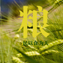 新余粮食ico