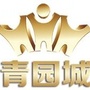 新余青园城ico