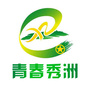 青春秀洲ico