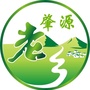 家乡肇源ico