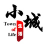 济源小城生活ico
