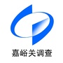 嘉峪关调查ico