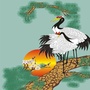 嘉峪关老干部工作公众号ico