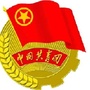 简阳市柏林村青年ico