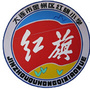 金州区红旗小学ico