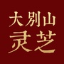 大别山灵芝ico