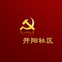 兰陵县开阳社区ico