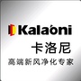 卡洛尼ico