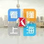 看懂上海ico