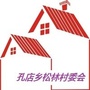 安徽孔店松林村村委会公众号ico