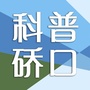 科普硚口ico