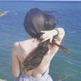 精选GIFico