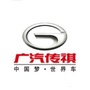 广汽传祺开封天悦店ico