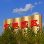 鄂尔多斯空港政务信息ico