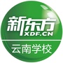 云南新东方学校ico