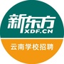 云南新东方招聘公众号ico