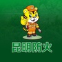 昆明森林草原防灭火ico