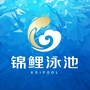 锦鲤泳池公众号ico
