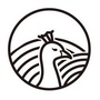 孔雀说公众号ico