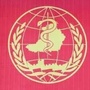 健康卡若ico
